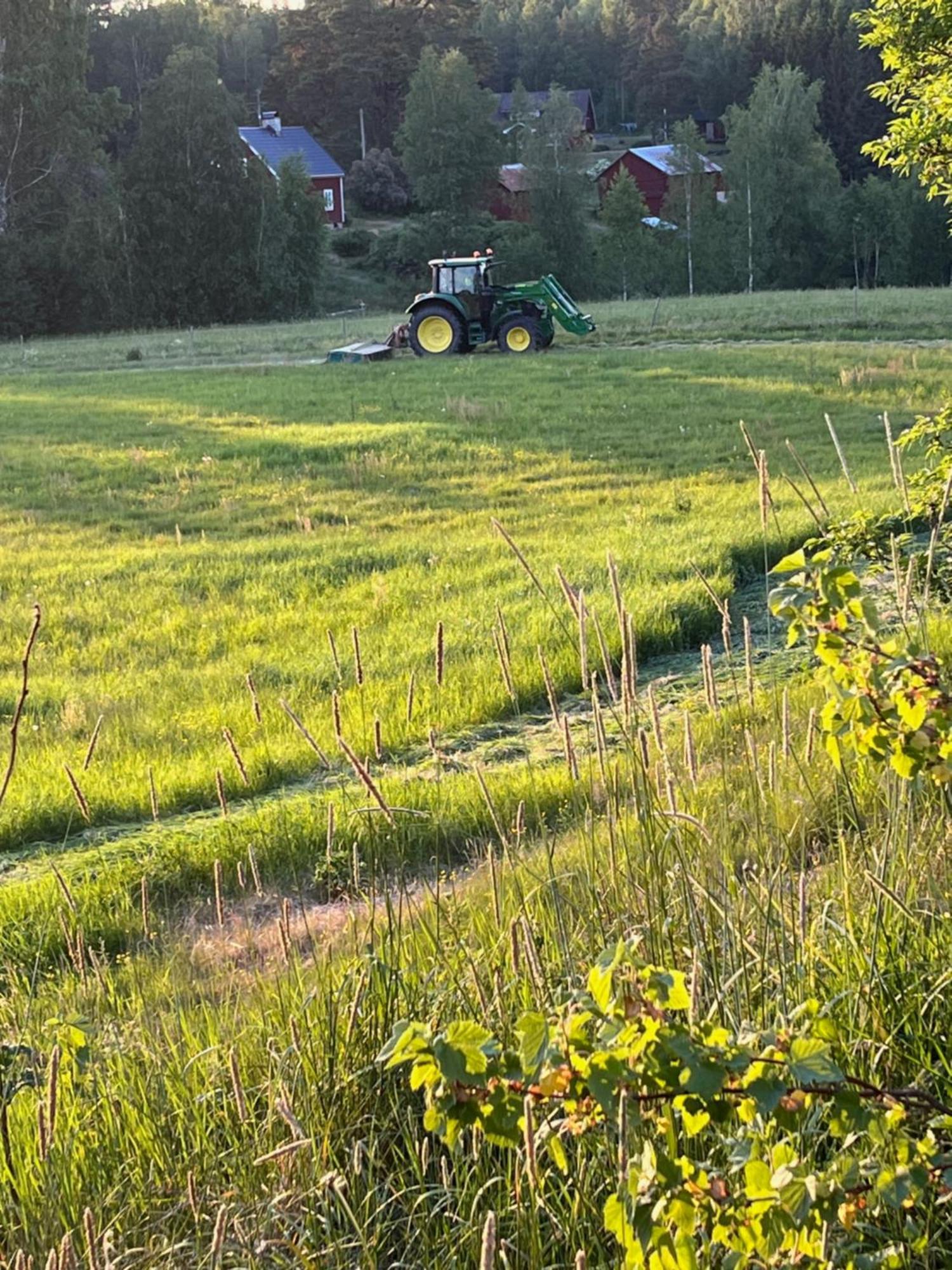 Asen Pension Årjäng Buitenkant foto
